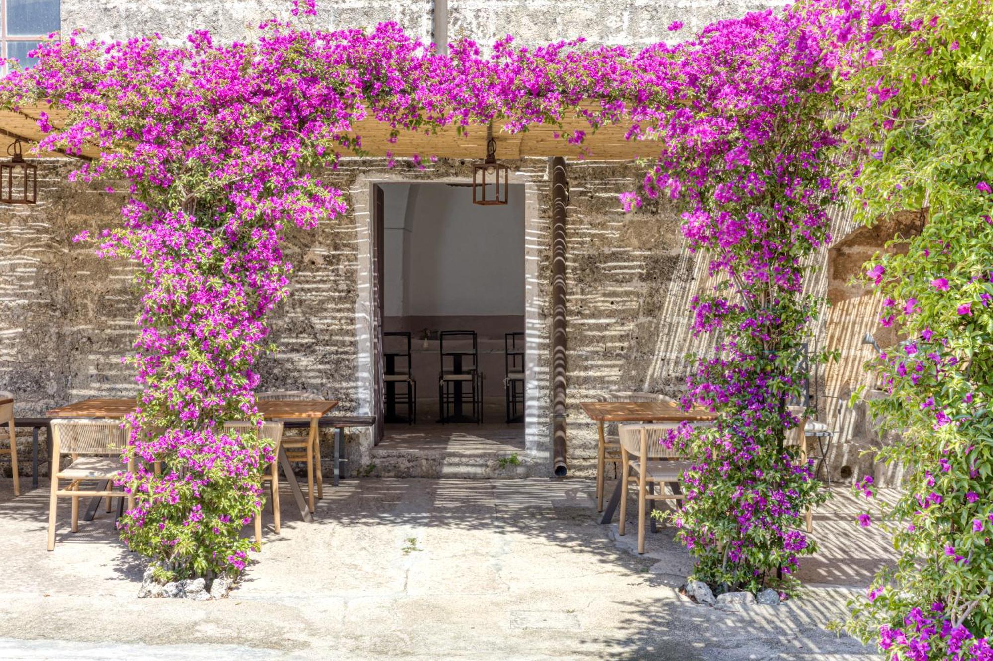 Biomasseria Santa Lucia Alessano Dış mekan fotoğraf